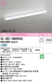ODELIC ǥå ١饤 XL501060R4CþʾҲþ̿䡦ƥꥢΡڥ饤ȥ