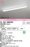 ODELIC ǥå ١饤 XL501060R4DþʾҲþ̿䡦ƥꥢΡڥ饤ȥ