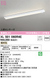 ODELIC ǥå ١饤 XL501060R4EþʾҲþ̿䡦ƥꥢΡڥ饤ȥ