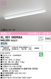 ODELIC ǥå ١饤 XL501060R6AþʾҲþ̿䡦ƥꥢΡڥ饤ȥ