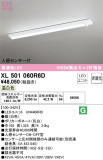ODELIC ǥå ١饤 XL501060R6DþʾҲþ̿䡦ƥꥢΡڥ饤ȥ