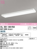 ODELIC ǥå ١饤 XL551091R2þʾҲþ̿䡦ƥꥢΡڥ饤ȥ