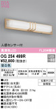ODELIC ǥå ƥꥢ饤 OG254499RþʾҲþ̿䡦ƥꥢΡڥ饤ȥ