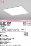 ODELIC ǥå ١饤 XL501019RþʾҲþ̿䡦ƥꥢΡڥ饤ȥ
