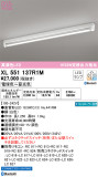 ODELIC ǥå ١饤 XL551137R1MþʾҲþ̿䡦ƥꥢΡڥ饤ȥ