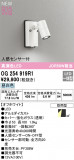 ODELIC ǥå LED ƥꥢ饤 OG254919R1þʾҲþ̿䡦ƥꥢΡڥ饤ȥ