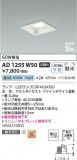 Koizumi ߾ ⵤ̩SB饤 AD1255W50þʾҲþ̿䡦ƥꥢΡڥ饤ȥ