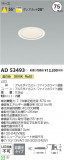 Koizumi ߾ 饤 AD53493þʾҲþ̿䡦ƥꥢΡڥ饤ȥ