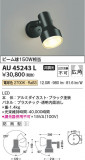 Koizumi ߾ ƥꥢݥåȥ饤 AU45243LþʾҲþ̿䡦ƥꥢΡڥ饤ȥ