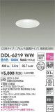 DAIKO ŵ LED饤 DDL-6219WWþʾҲþ̿䡦ƥꥢΡڥ饤ȥ