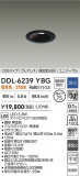 DAIKO ŵ LED˥С饤 DDL-6239YBGþʾҲþ̿䡦ƥꥢΡڥ饤ȥ