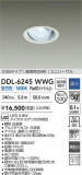 DAIKO ŵ LED˥С饤 DDL-6245WWGþʾҲþ̿䡦ƥꥢΡڥ饤ȥ