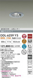 DAIKO ŵ LEDʹ󥵡ե饤 DDL-6259YSþʾҲþ̿䡦ƥꥢΡڥ饤ȥ