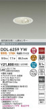 DAIKO ŵ LEDʹ󥵡ե饤 DDL-6259YWþʾҲþ̿䡦ƥꥢΡڥ饤ȥ