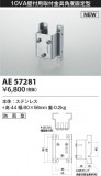 Koizumi ߾ ն AE57281þʾҲþ̿䡦ƥꥢΡڥ饤ȥ
