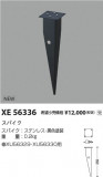Koizumi ߾ ѥ XE56336þʾҲþ̿䡦ƥꥢΡڥ饤ȥ
