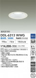 DAIKO ����ŵ� ������饤�� DDL-6313WWG�þ��ʾҲ�þ��������̿����䡦����ƥꥢ���������Ρڥ饤�ȥ��������