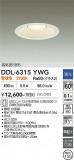 DAIKO ����ŵ� ������饤�� DDL-6315YWG�þ��ʾҲ�þ��������̿����䡦����ƥꥢ���������Ρڥ饤�ȥ��������