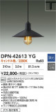 DAIKO ����ŵ� �ڥ����� DPN-42613YG�þ��ʾҲ�þ��������̿����䡦����ƥꥢ���������Ρڥ饤�ȥ��������