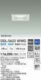 DAIKO ����ŵ� ������饤�� DDL-5623WWG�þ��ʾҲ�þ��������̿����䡦����ƥꥢ���������Ρڥ饤�ȥ��������