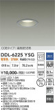 DAIKO ����ŵ� ������饤�� DDL-6225YSG�þ��ʾҲ�þ��������̿����䡦����ƥꥢ���������Ρڥ饤�ȥ��������