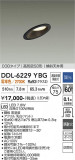DAIKO ����ŵ� ������饤�� DDL-6229YBG�þ��ʾҲ�þ��������̿����䡦����ƥꥢ���������Ρڥ饤�ȥ��������