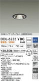 DAIKO ����ŵ� ������饤�� DDL-6235YBG�þ��ʾҲ�þ��������̿����䡦����ƥꥢ���������Ρڥ饤�ȥ��������
