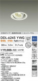 DAIKO ����ŵ� ��˥С����������饤�� DDL-6245YWG�þ��ʾҲ�þ��������̿����䡦����ƥꥢ���������Ρڥ饤�ȥ��������