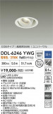 DAIKO ����ŵ� ��˥С����������饤�� DDL-6246YWG�þ��ʾҲ�þ��������̿����䡦����ƥꥢ���������Ρڥ饤�ȥ��������