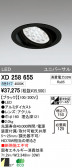 ODELIC ǥå LED 饤 XD258655