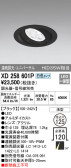 ODELIC ǥå 饤 XD258601P