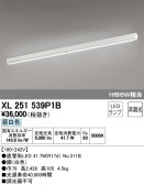 ODELIC ǥå ١饤 XL251539P1B