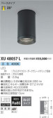 ߾ KOIZUMI ƥꥢ󥰥饤 XU48057L