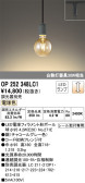 ODELIC ǥå ڥȥ饤 OP252348LC1