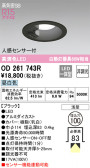 ODELIC ǥå 饤 OD261743R