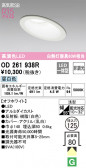 ODELIC ǥå 饤 OD261938R