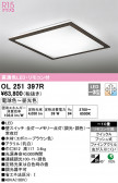 ODELIC ǥå 󥰥饤 OL251397R