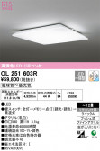 ODELIC ǥå 󥰥饤 OL251603R