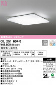 ODELIC ǥå 󥰥饤 OL251604R