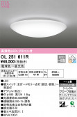 ODELIC ǥå 󥰥饤 OL251611R