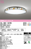 ODELIC ǥå 󥰥饤 OL291157R