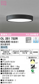 ODELIC ǥå 󥰥饤 OL251732R