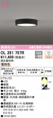 ODELIC ǥå 󥰥饤 OL251757R