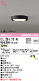 ODELIC ǥå 󥰥饤 OL251761R