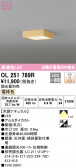 ODELIC ǥå 󥰥饤 OL251789R