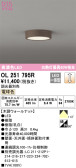 ODELIC ǥå 󥰥饤 OL251795R