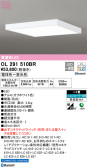 ODELIC ǥå 󥰥饤 OL291510BR