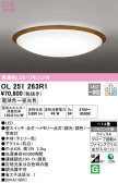 ODELIC ǥå 󥰥饤 OL251263R1