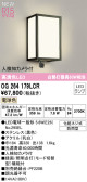 ODELIC ǥå LED ƥꥢ饤 OG264179LCR