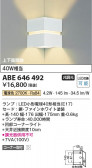 Koizumi ߾ ֥饱å ABE646492